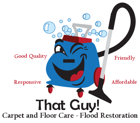 That Guy Carpet Cleaning San Diego