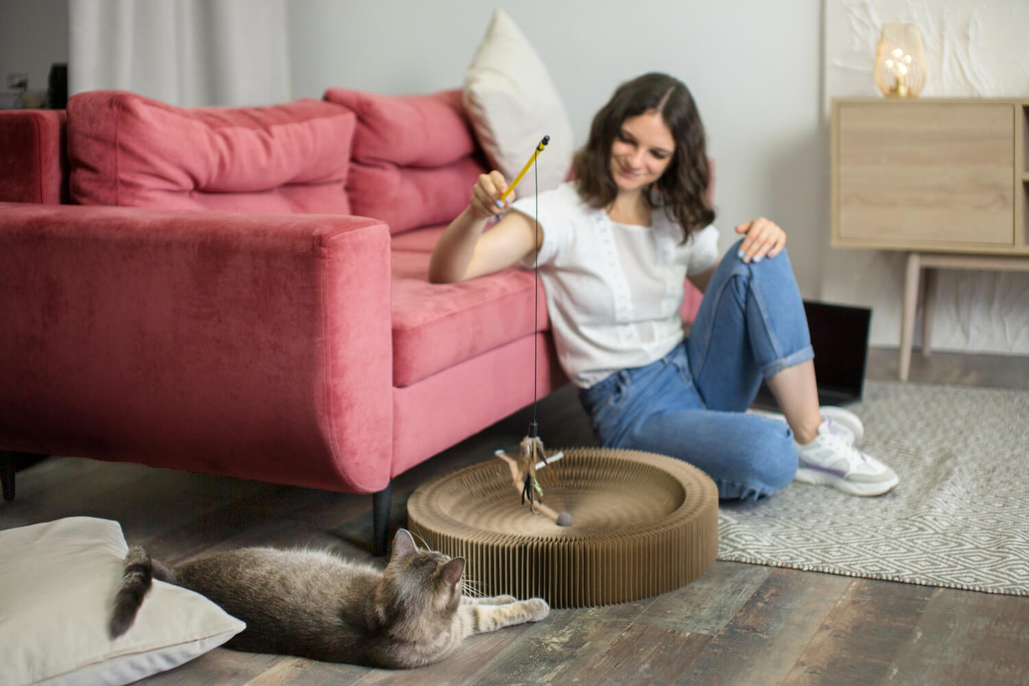 Pet-Safe Carpet Cleaners in Vista CA