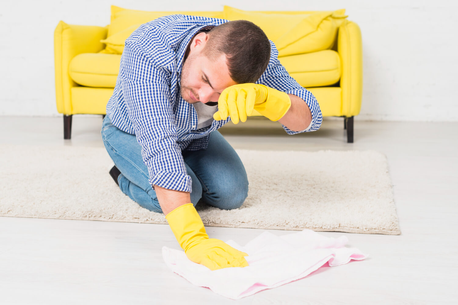 View of Carpet Odor Removal Guide for Vista, CA Homeowners