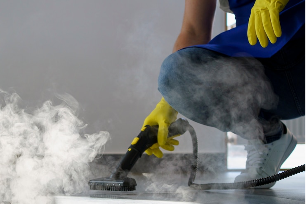 Professional Carpet Cleaning in San Diego