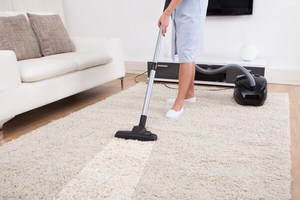 Professional Carpet Cleaning