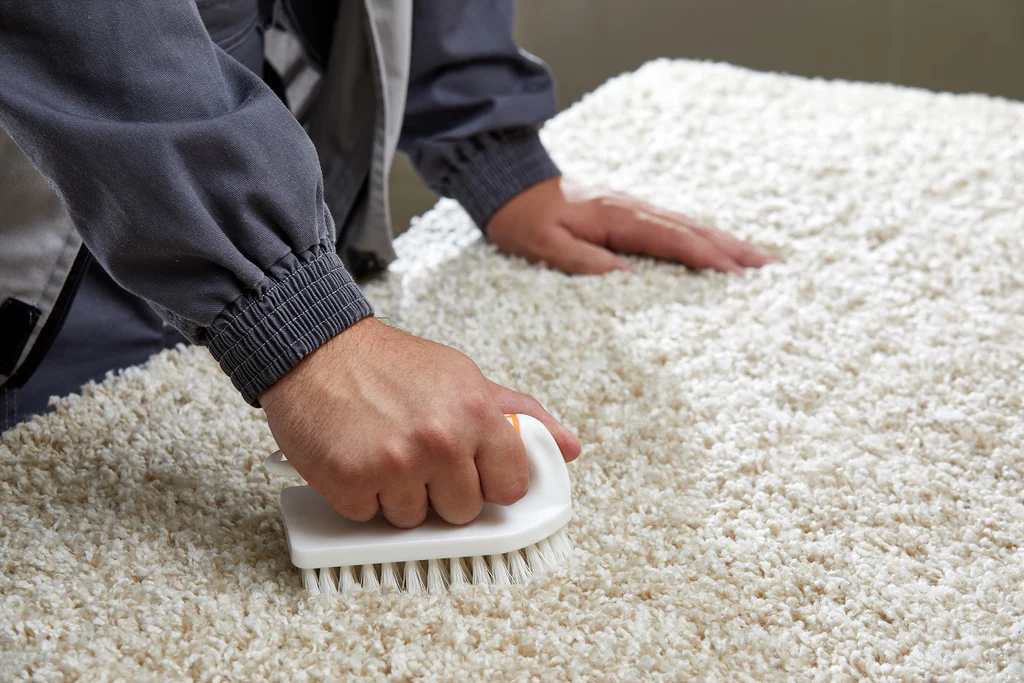 rug cleaning services