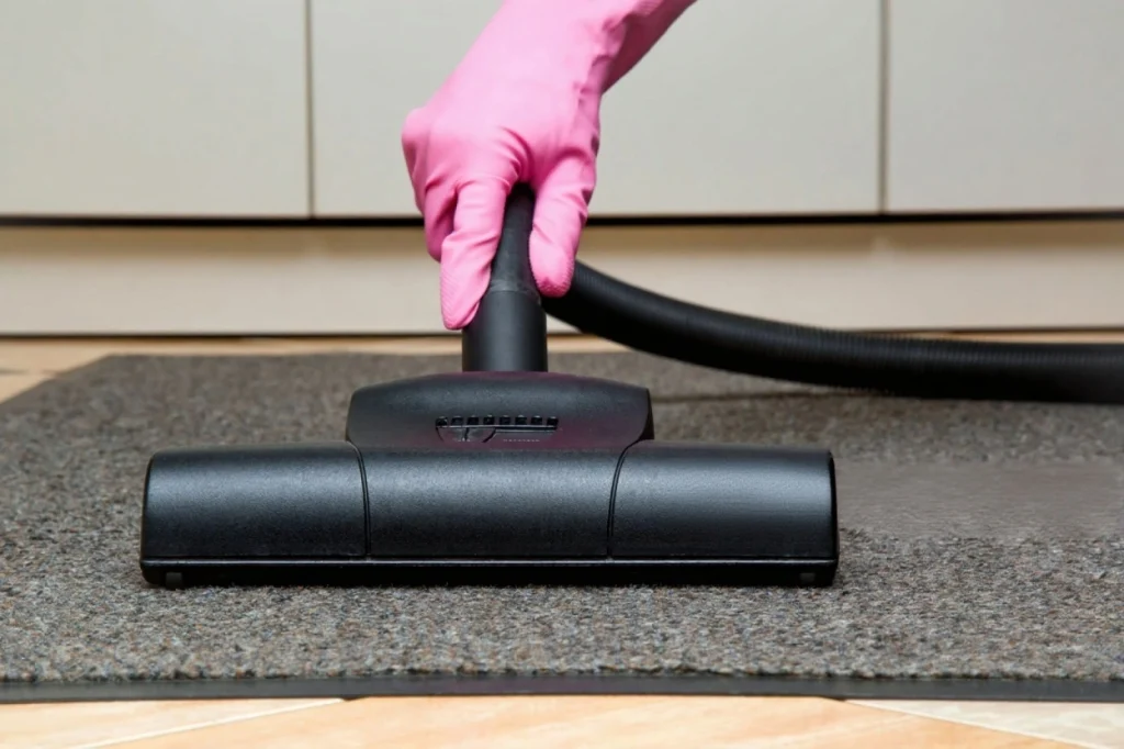 Professional Rug Cleaner