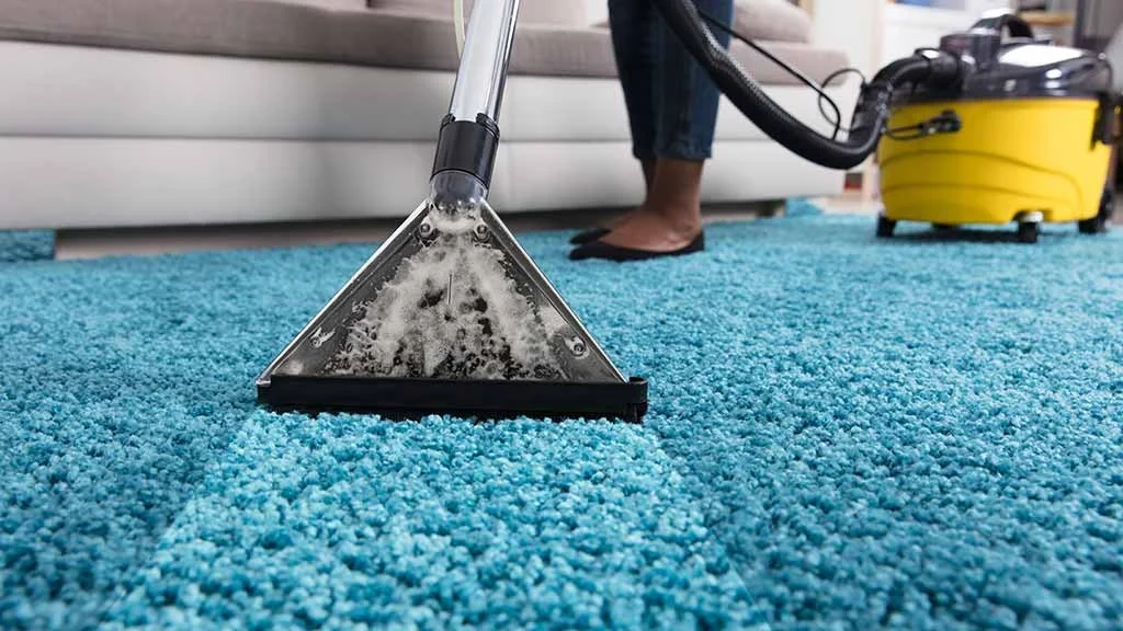 Carpet & Rug Cleaning Services