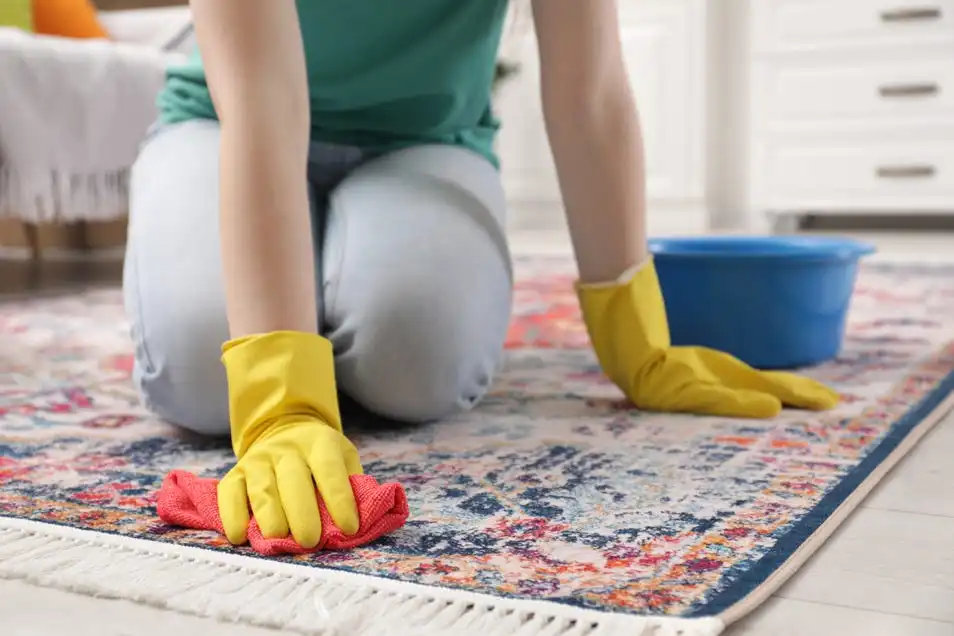 Deep Clean Your Carpets