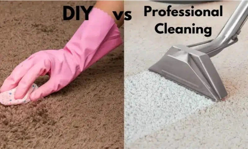 DIY vs Professional Carpet Cleaning