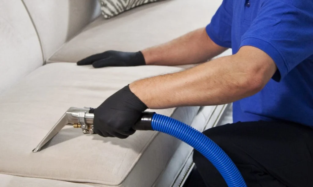 Expert Upholstery Cleaning