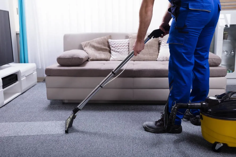 Professional carpet cleaners