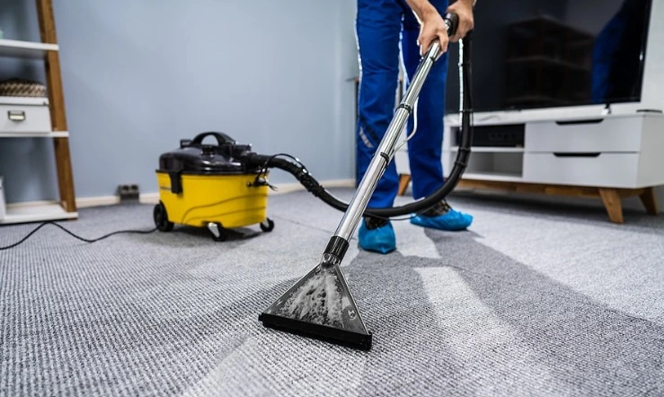 Rug Cleaning Services in Carlsbad for deep stain removal and fresh, clean rugs