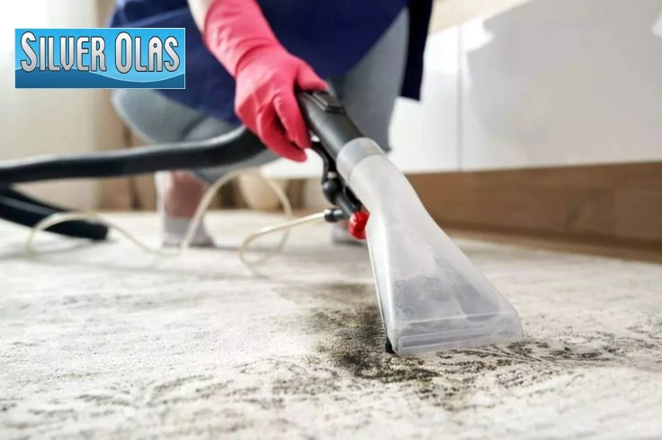 Move-In & Move-Out Carpet Cleaning technician using a steam extraction wand on home carpet.