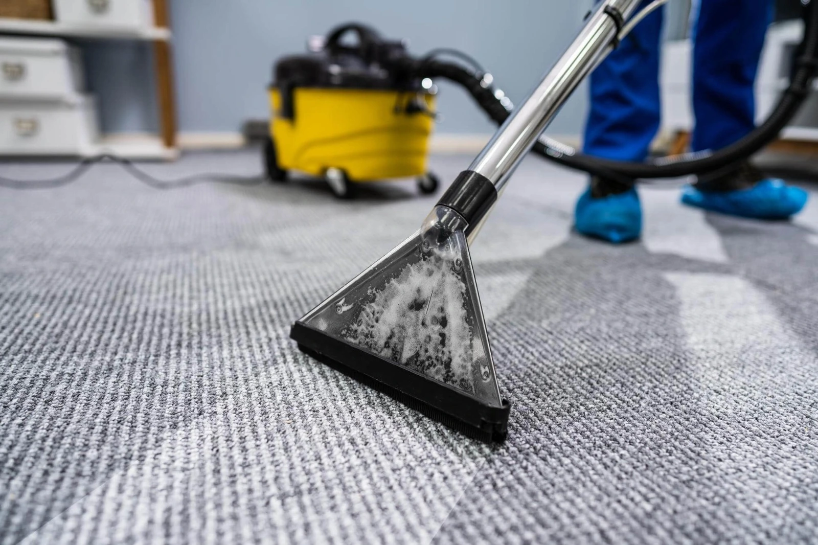Steam Carpet Cleaning